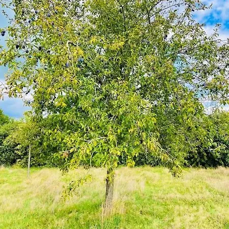 La Condelisana - Maison Spacieuse Avec Piscine Semesterbostad