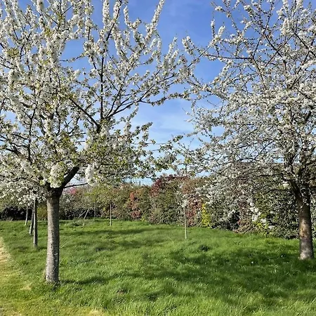 La Condelisana - Maison Spacieuse Avec Piscine Semesterbostad Conde-sur-Risle