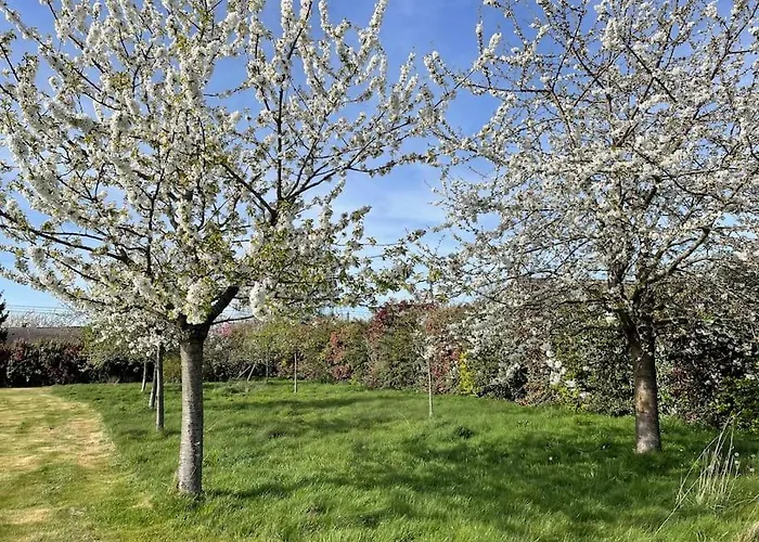 La Condelisana - Maison Spacieuse Avec Piscine Holiday home Conde-sur-Risle